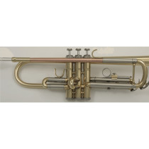 VSM TP300 Tromba Sib