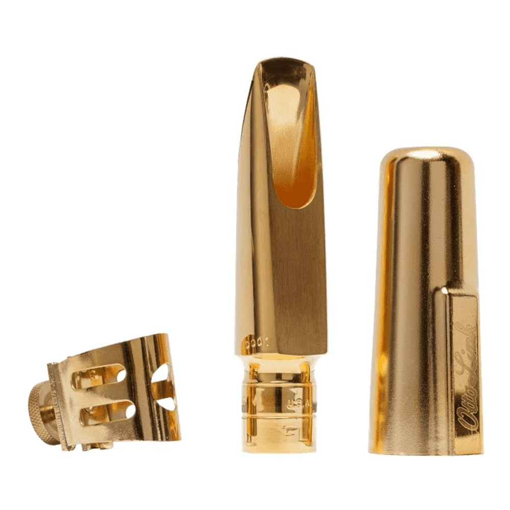 Bocchino Sax tenore Florida 7*