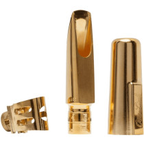 Bocchino Sax tenore Florida 5*