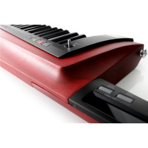 RK-100S2-RD