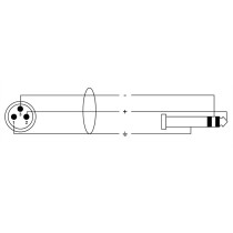 CFM 6 MV