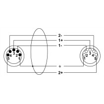 CDX 5-2