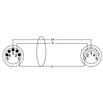 CDX 10-1