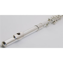 VSM FL300E