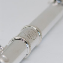 VSM FL300E