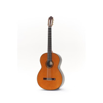Octave Bass 6 Chitarra Contrabbasso