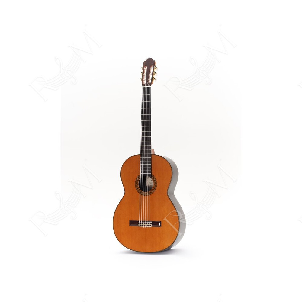 Octave Bass 6 Chitarra Contrabbasso