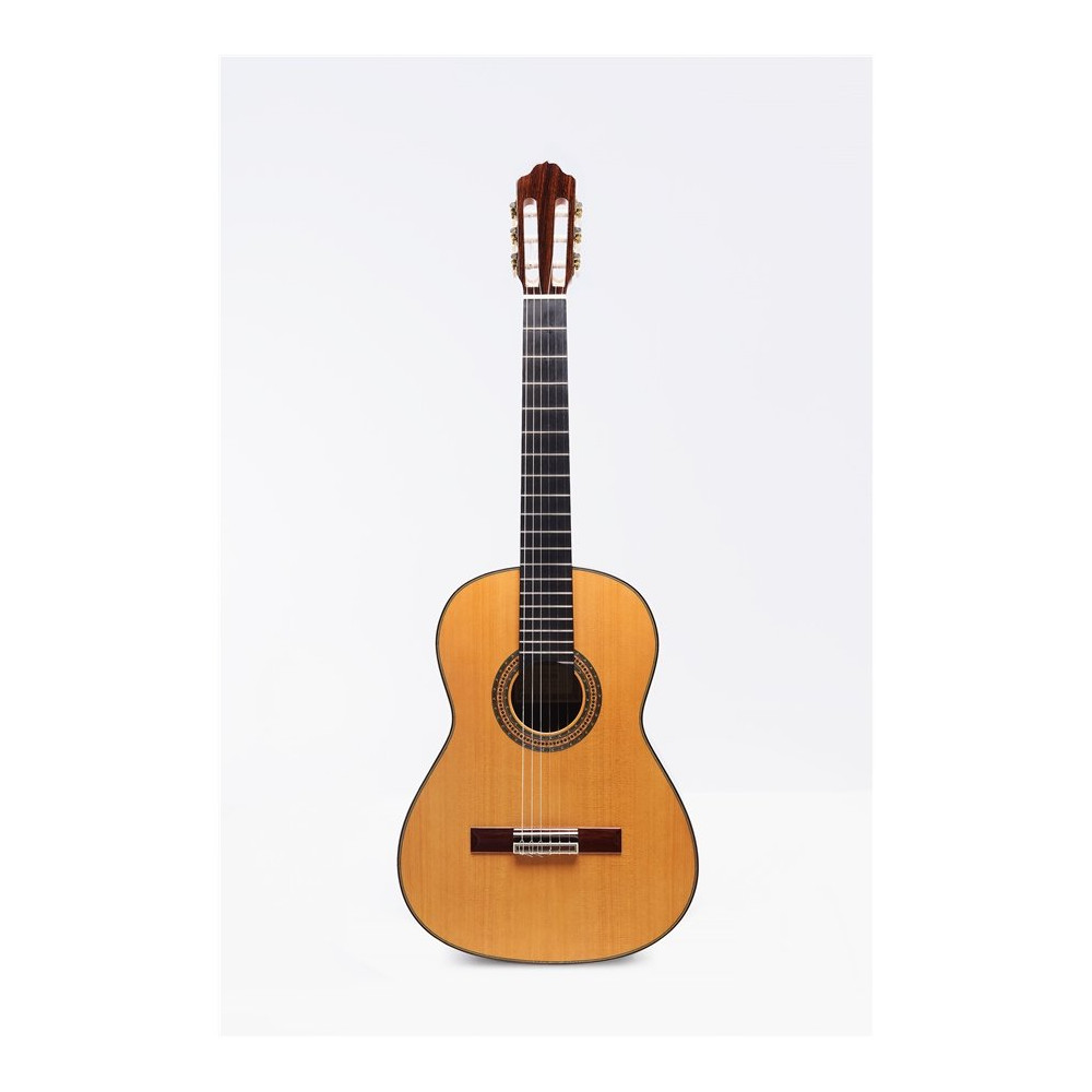 Alegria Chitarra Classica