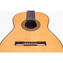 Alegria Chitarra Classica