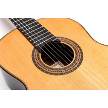 Alegria Chitarra Classica