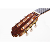 Alegria Chitarra Classica