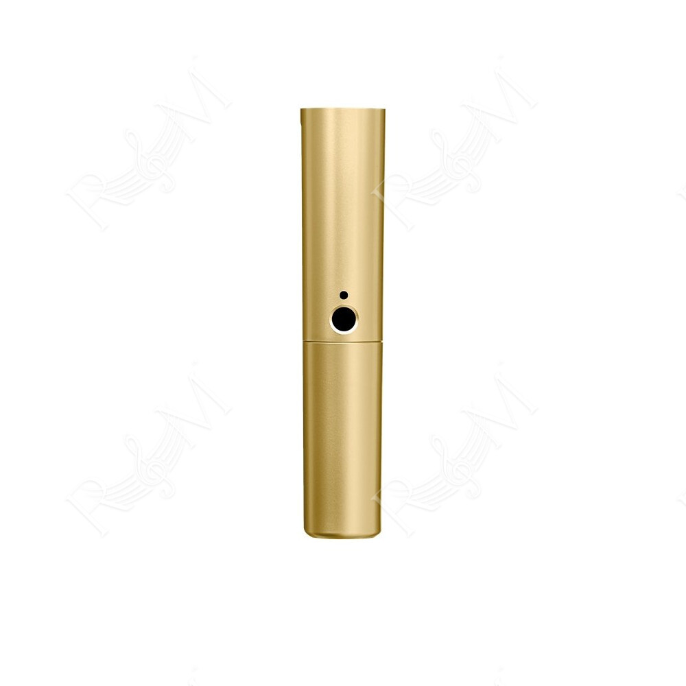 WA713-GLD Corpo oro BLX2 con capsula SM58 e Beta58A