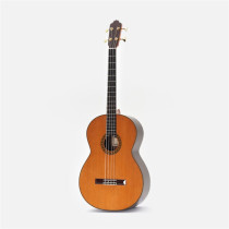 Octave Bass 4 Chitarra Contrabbasso