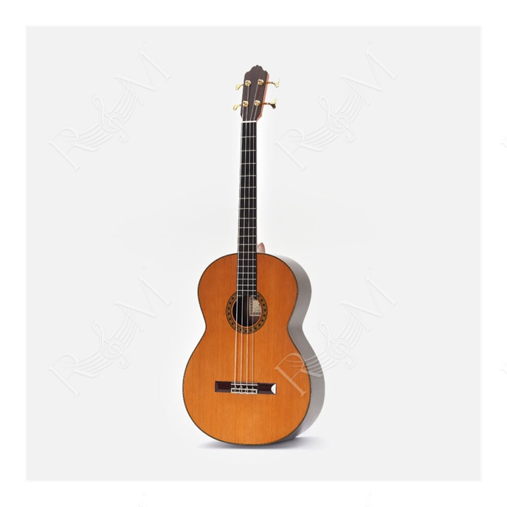 Octave Bass 4 Chitarra Contrabbasso