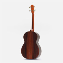 Octave Bass 4 Chitarra Contrabbasso