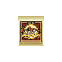 2013 Earthwood 12-String Custom Light Bronze 80/20