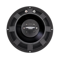 FTX1025 10" 300W 8ohm Coaxial