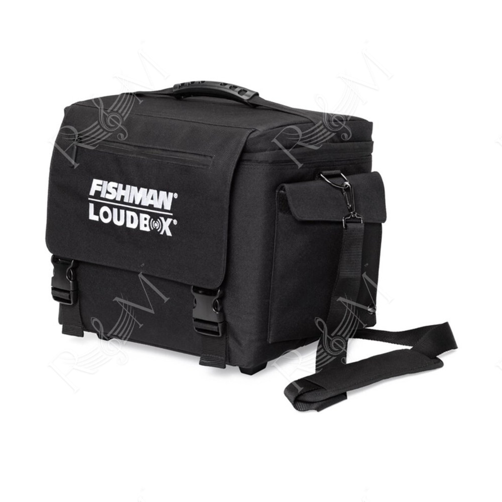 LOUDBOX MINI/CHARGE CARRY BAG (ACC-LBX-CC5)