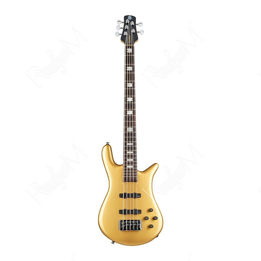 Euro5 Classic Metallic Gold Gloss