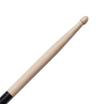 SGB2 - Signature Gregg Bissonette Backbeat