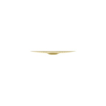 ZP14B-14" Planet Z HiHat Bottom