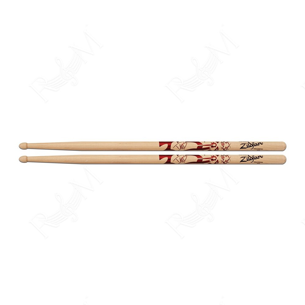ZASDG - Bacchette Dave Grohl Artist Series