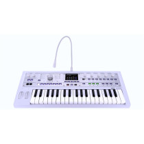 MICROKORG 2 WH