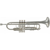 VSM TP500S Tromba in Si b Débutant