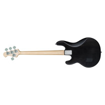 RAY4 Trans Black Satin