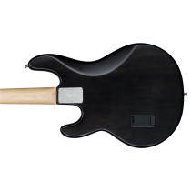 RAY4 Trans Black Satin