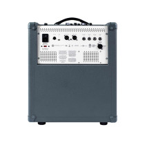 D112D Bass Combo
