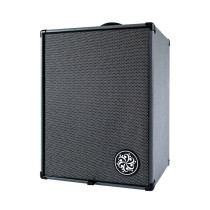 D210A Bass Combo