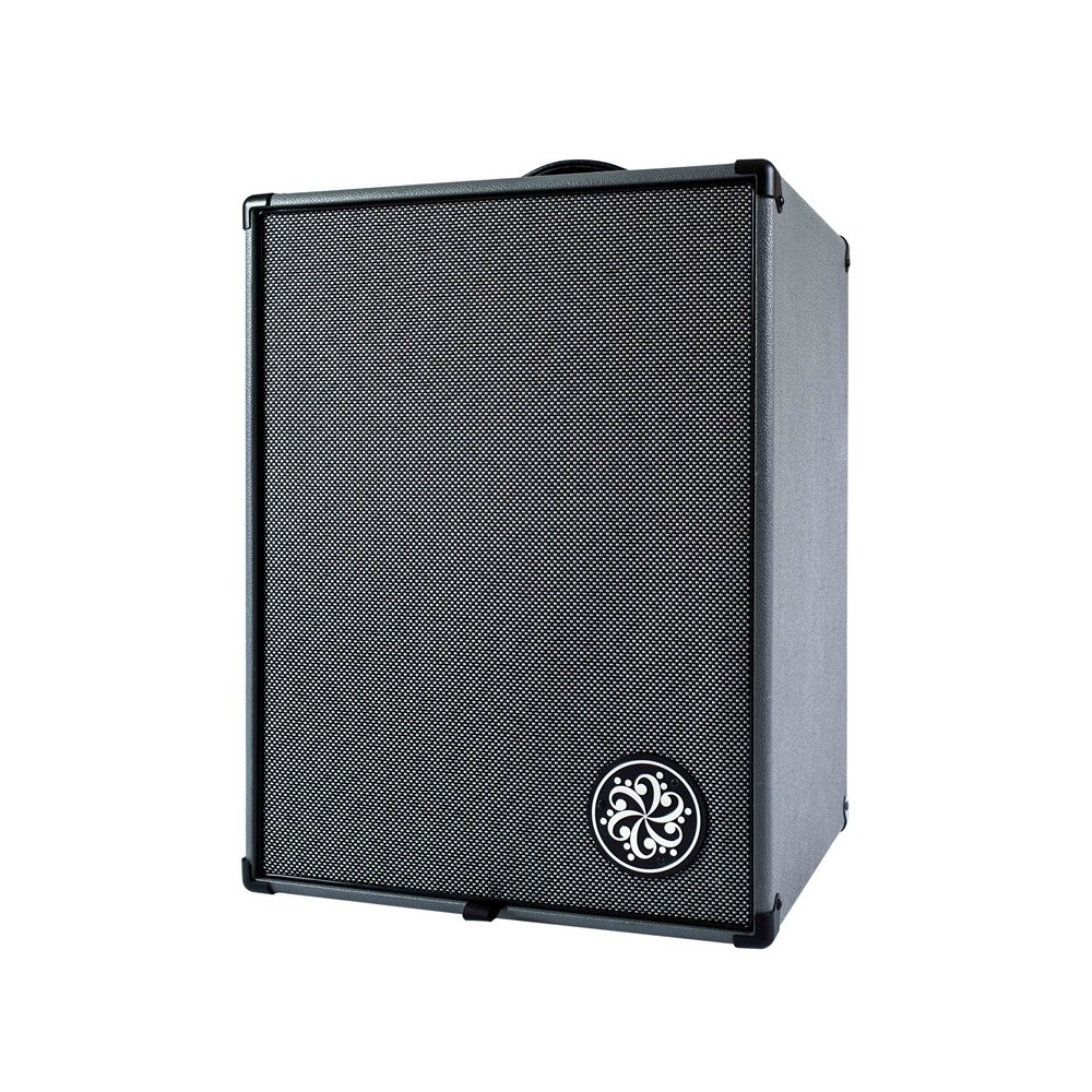 D210A Bass Combo
