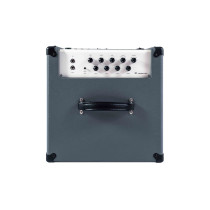 D210A Bass Combo