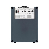 D210A Bass Combo