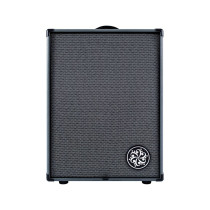 D210A Bass Combo