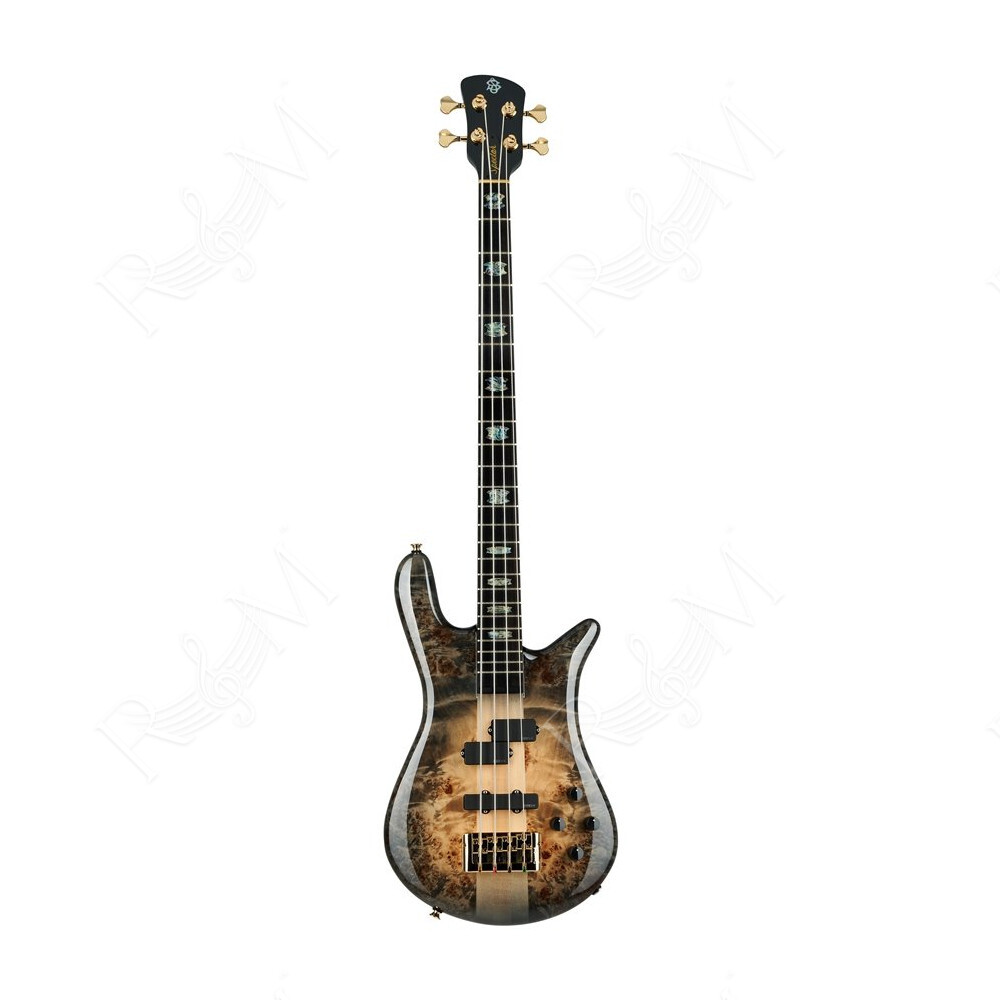 Euro 4 CST - Nat Black Burst Gloss