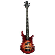 Euro 5 CST - Nat Red Burst Gloss