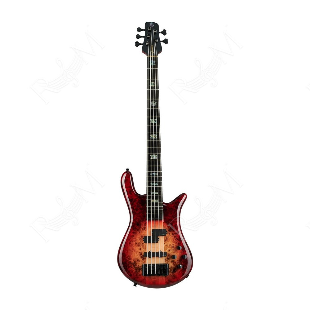 Euro 5 CST - Nat Red Burst Gloss