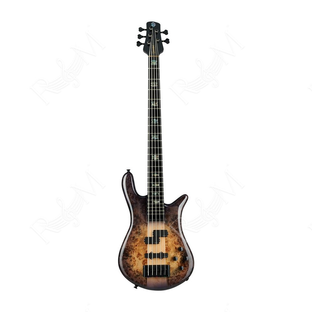 Euro 5 CST - Nat Violet Burst Gloss