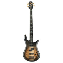 Euro 5 CST - Nat Black Burst Gloss