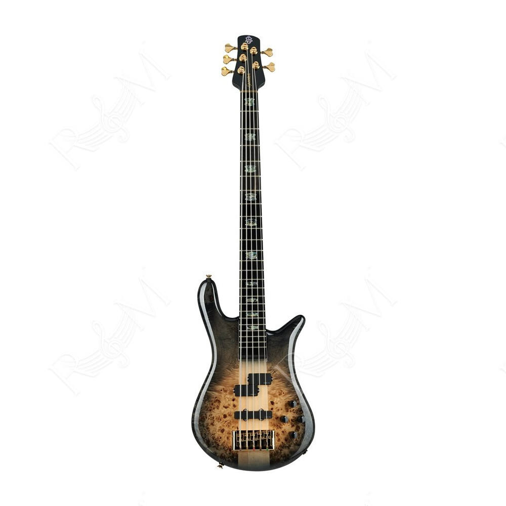 Euro 5 CST - Nat Black Burst Gloss