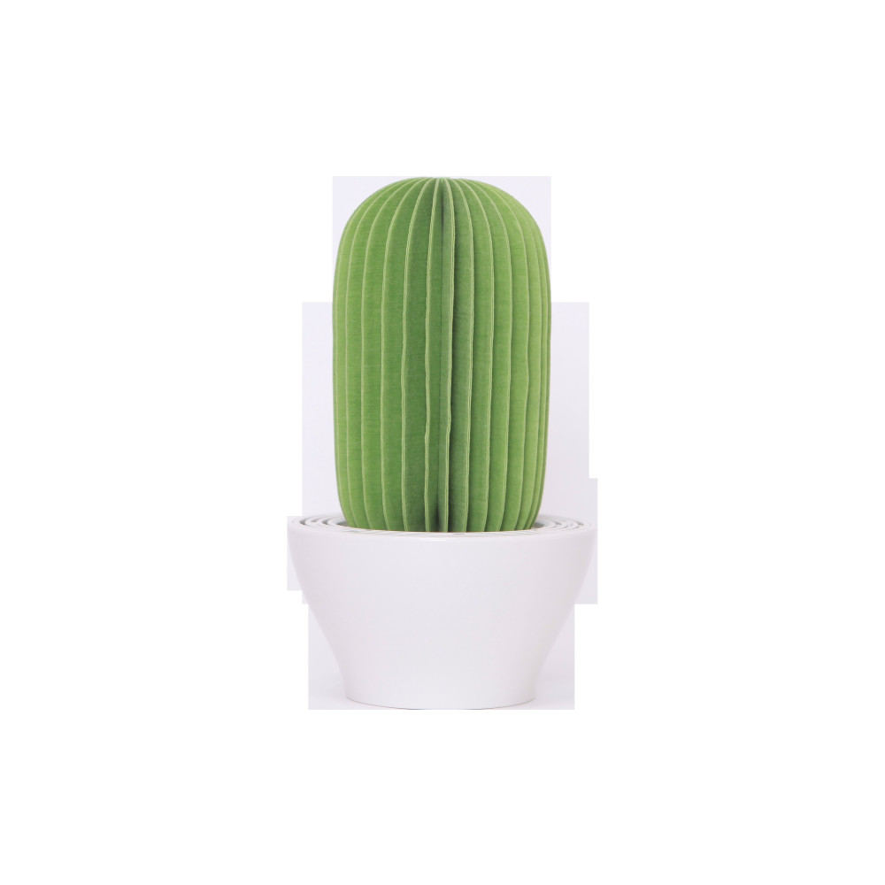PAPIRHO AROMA DIFFUSER CACTUS GREEN