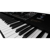 PA5X OR-61
