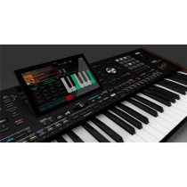 PA5X OR-61