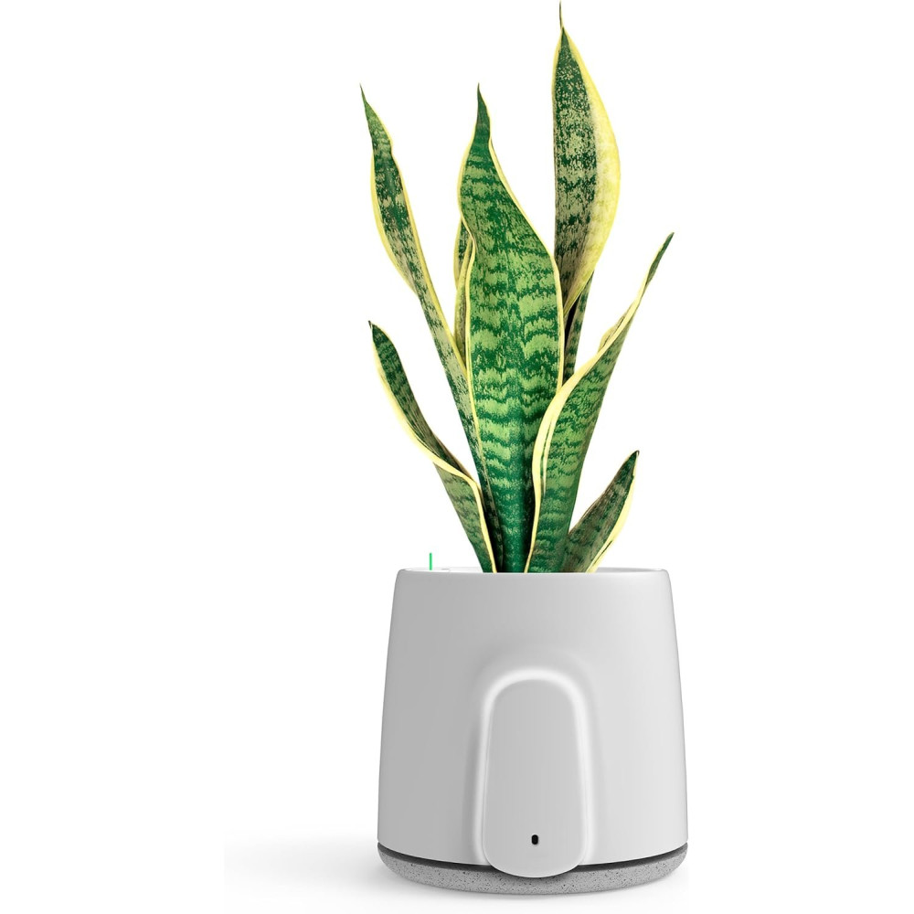 Vitesy Natede Air Purifiers SMART
