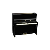 Magistral Sistema Audio per Piano Verticale