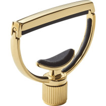Heritage Style 1 Wide 18kt Gold Plated Capo