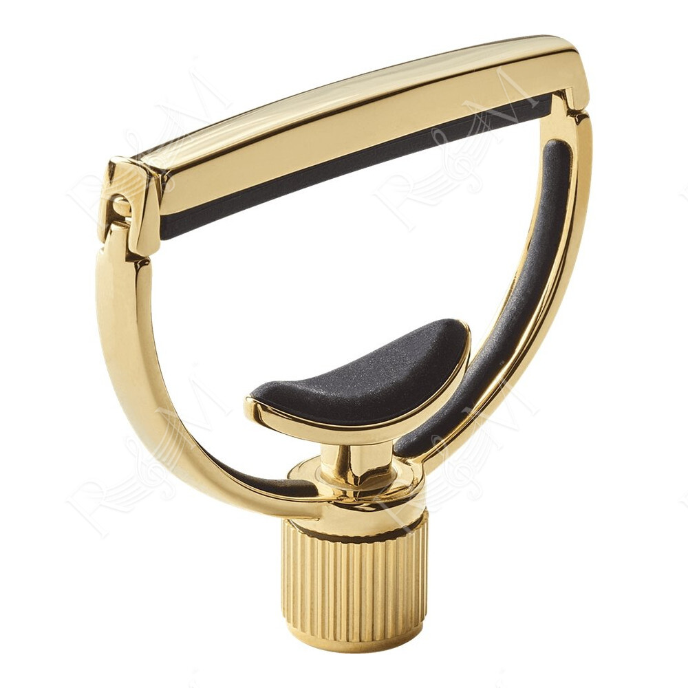 Heritage Style 1 Wide 18kt Gold Plated Capo