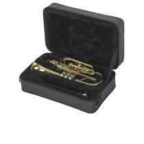 GL-CORNET-A Custodia Cornetta
